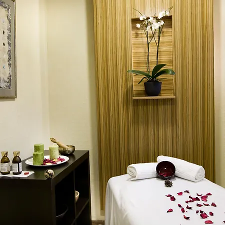 Monarque Cendrillón