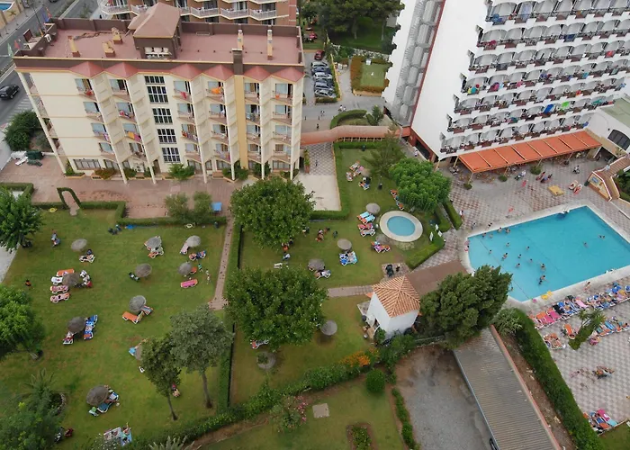 Monarque Cendrillon Fuengirola